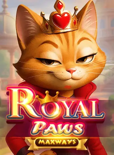 qq999