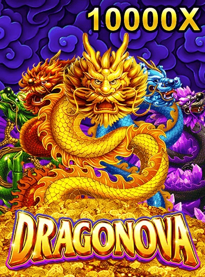 qq999